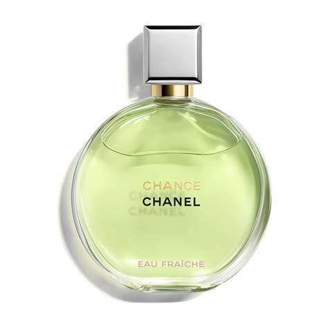 perfumes similar to chanel chance|chanel chance eau fraiche dupe.